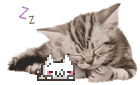 an image of a sleeping calico kitten with a white pixel cat also sleeping. there are two zz's coming from their heads as their heads bob up and down in a breathing motion