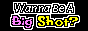 a button that says wanna be a big shot with big shot flashing pink and yellow