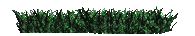 gif of grass blowing in the wind