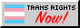 trans rights NOW! button